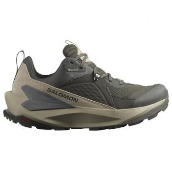 Zapatillas deportivas Salomon Elixir GORE-TEX caqui