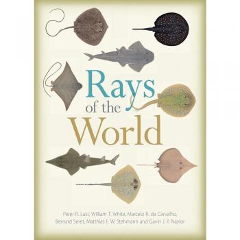 RAYS OF THE WORLD