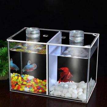 Boîte Élevage Aquarium Mini Lumière