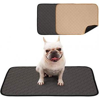 Solutions pour incontinence canine BePetMia