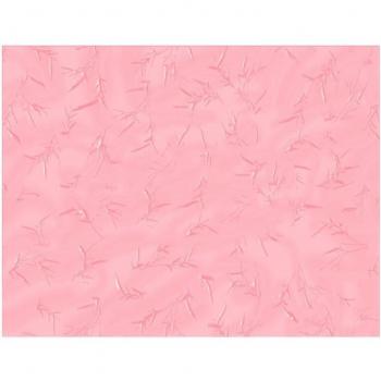 5 Pack A4 180g Greeting Card and Binding Paper