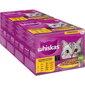 Whiskas 1+ Adult kapsičky 48 x 85 g