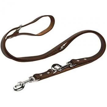 Beeztees Leder-Hundeleine 200x1,2 cm braun