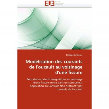 Modélisation des courants de Foucault au voisinage d'une fissure