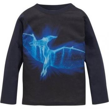 KIDSWORLD Kinderlangarm T-Shirt „Fliegender Dinosaurier“ – Basic, bedruckt, Rundhals