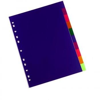 Rexel 10‑Pack A4 Translucent Folder Divider – Colorful Set