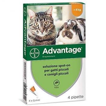 ADVANTAGE SPOT ON BAYER 4 PIPETTE PER GATTI FINO A 4 KG