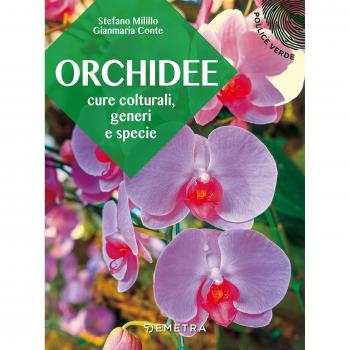 Orchidee. Cure colturali, generi e specie