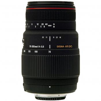Sigma 70-300mm f/4-5.6 APO DG Macro pour Canon EOS