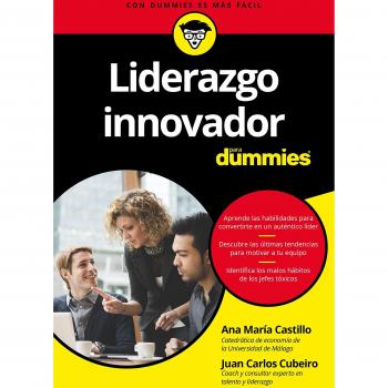Liderazgo Para Dummies