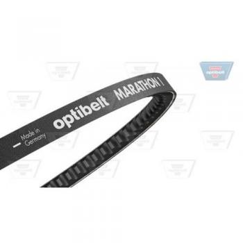 Marathon 10 × 975 Keilriemen von OptiBelt AVX