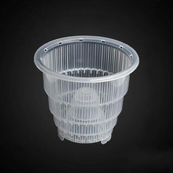 Glass Garden Bloom Box