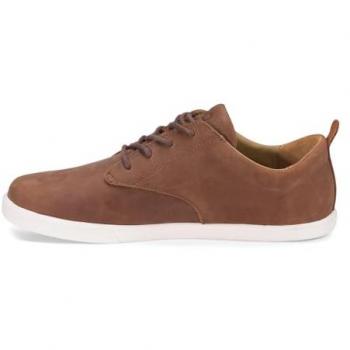 Scarpe Xero Shoes Glenn Marroni Uomo EU 42.5
