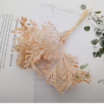 6Pcs/Bundel Kunstbloemen voor Bruiloft en Kerstdecoratie