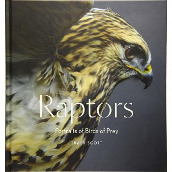Raptors: Birds of Prey