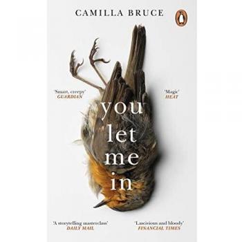 Camilla Bruce You Let Me In: The Acclaimed, Unsettling Novel Of Haunted Love, Revenge And The Nature Of Truth