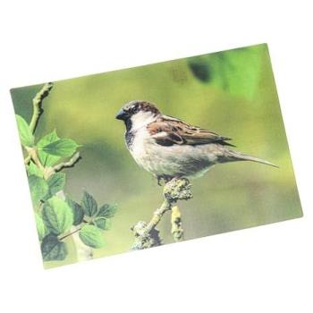 3D Tierkarte Spatz