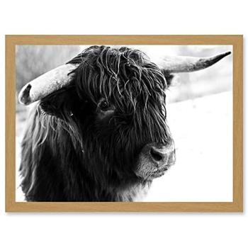 Dual-Color Highland Cow Horns Framed Photo, A4 Size