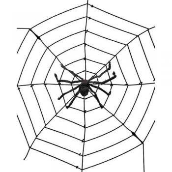 Riesen Spinnennetz mit ekliger Spinne