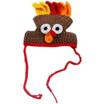 Funny Turkey Shaped Cat Hat