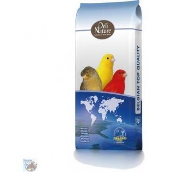 Deli Nature Canary Seedlings Pack