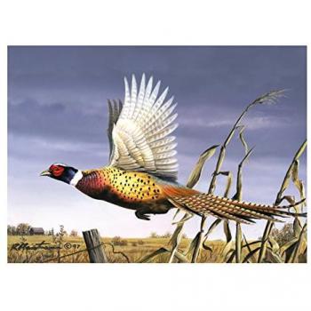Premium Flying Pheasant Glass Chopping Board – Medium Size Worktop Guard