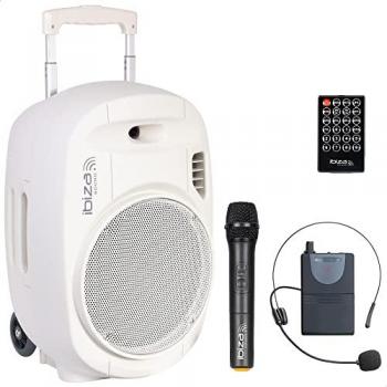 Microphone Duo UHF 12”