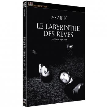 Échos Mystiques : Le Labyrinthe des Songes
