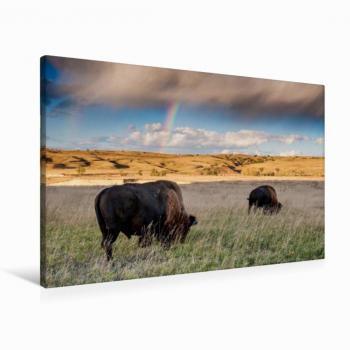 Calvendo Luxus Textil‑Leinwand 90 x 60 cm – Roaming Free, Kunstdruck von Fabienne Heidorn