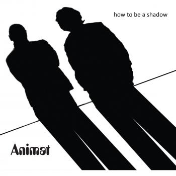 How to Be a Shadow
