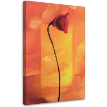 Red Poppy Nature Canvas Print – 40x60cm Orange Finish