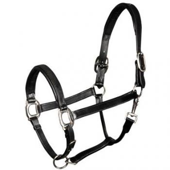 Harry's Horse Leather Halter with Padding