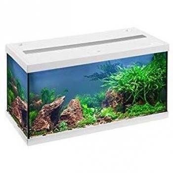 Eheim Acuario de Inicio Aquastar 54 LED