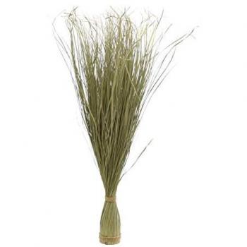 SPETEBO Deko Gras Japanisches Blutgras 105 cm