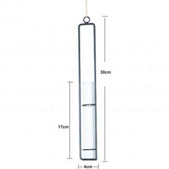 Transparent Hydroponic Wall Vase