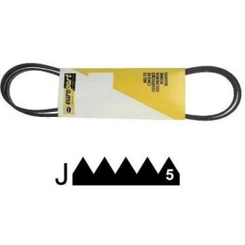 Courroie 1248 J5 Compatible Samsung