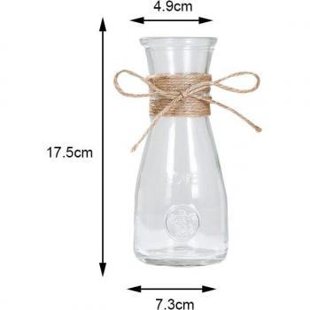 Nordic Glass Hydroponic Vase