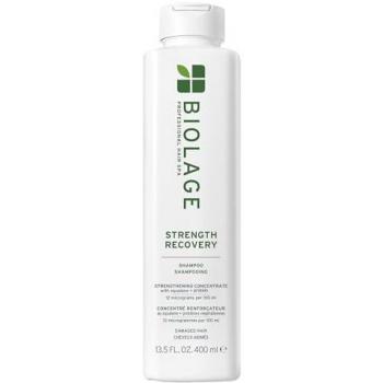 Biolage Shampoo Ricostruzione 400 ml – Recupero Forza