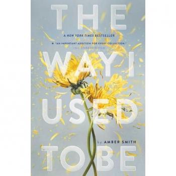 The Way I Used to Be Audio Book