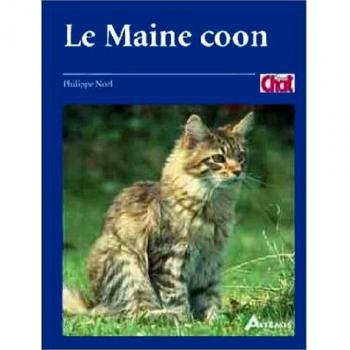 Le Maine Coon