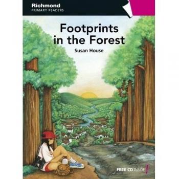 Footprints in the forest