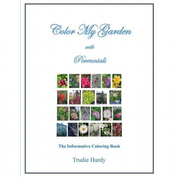 Color My Garden with Perennials