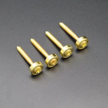 Tornillos de montaje para bajo y guitarra eléctrica