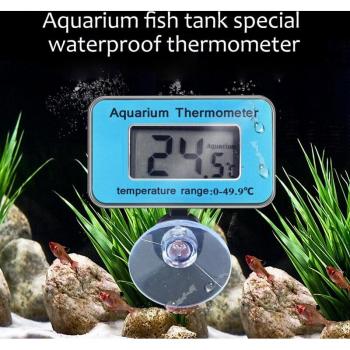 Adhesive Fish Tank Thermometer