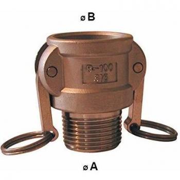 Camlock Femelle – Embout Fileté Mâle Laiton – Taille B – 1 1/2”