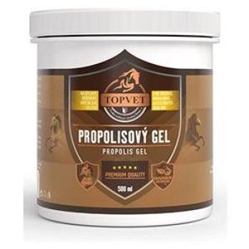 Konečtí gel s propolisem TOPVET 500 ml