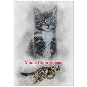 Maine Coon Katzen Wandkalender 2025 DIN A3 hoch