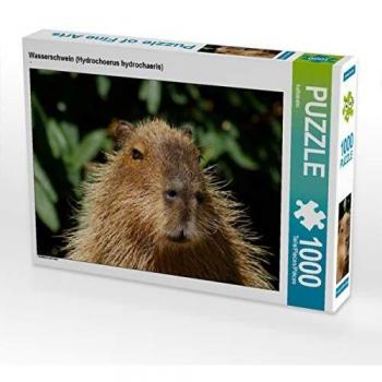 Photo Puzzle