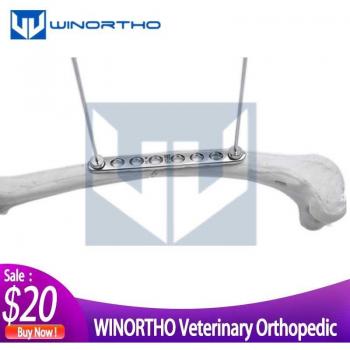 Animal Orthopedic Instrument Set