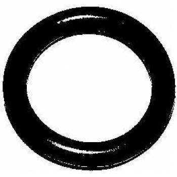 ELRING Guarnizione, Bulloni copritestata 476.820